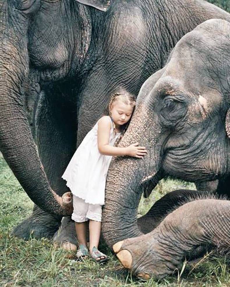 Gewoon een verzameling hilarische foto's #825