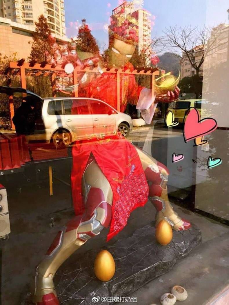 Gewoon een verzameling hilarische foto's #1287