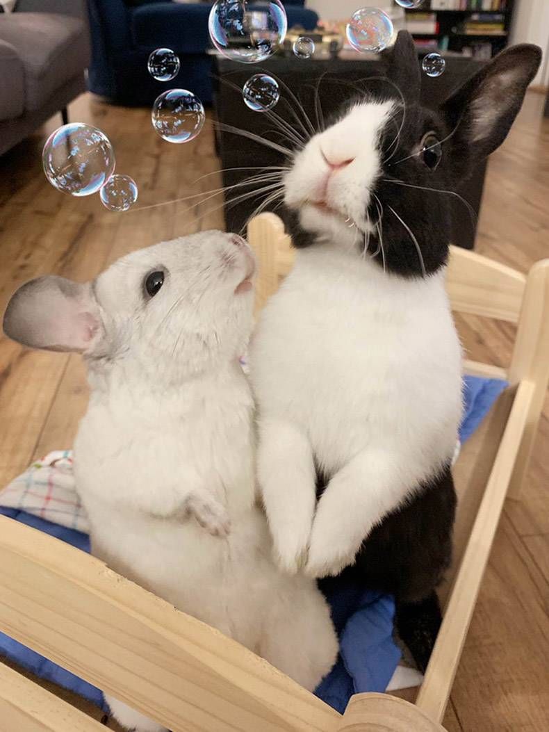 Gewoon een verzameling hilarische foto's #1178