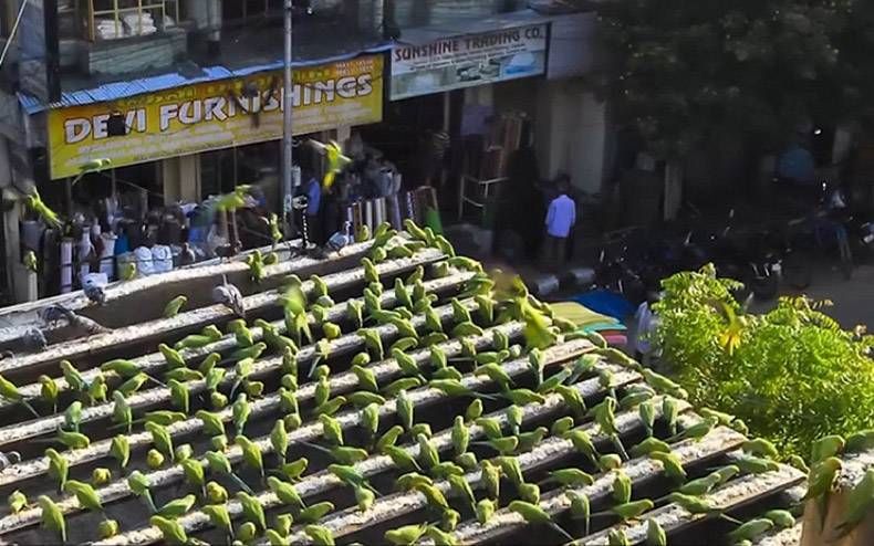 Gewoon een verzameling hilarische foto's #1127