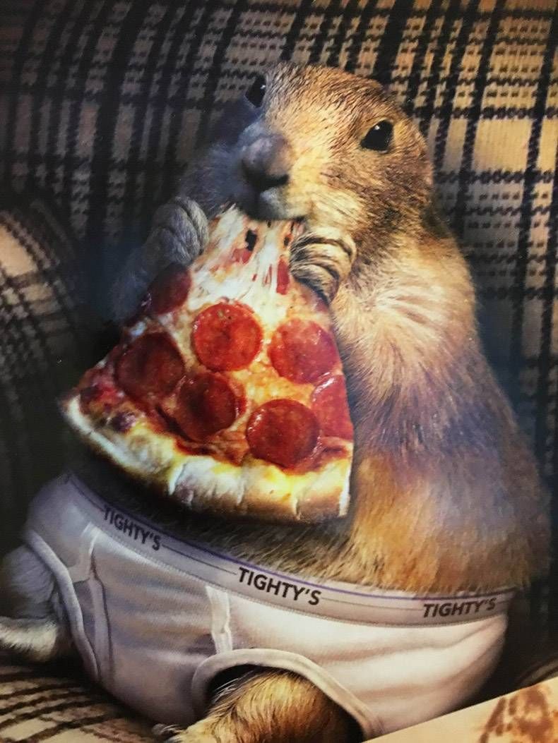 Gewoon een verzameling hilarische foto's #1077