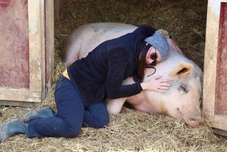 Gewoon een verzameling hilarische foto's #893