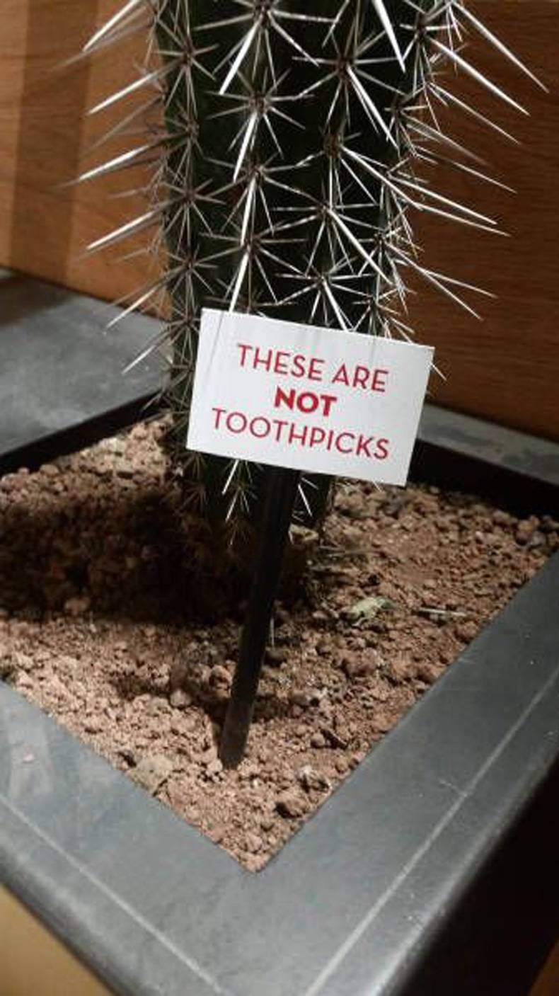 Gewoon een verzameling hilarische foto's #702