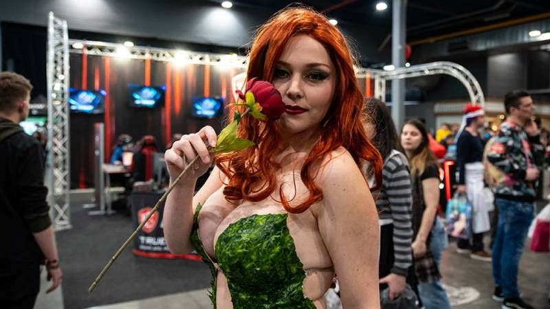Heroes Dutch Comic Con 2019 in beeld