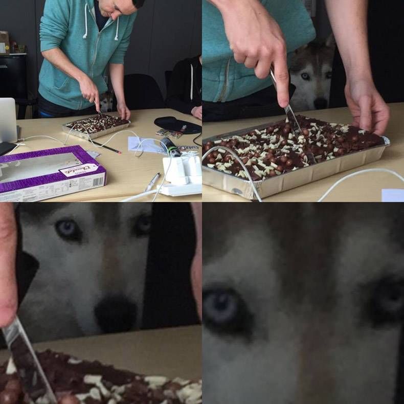 Gewoon een verzameling hilarische foto's #1318