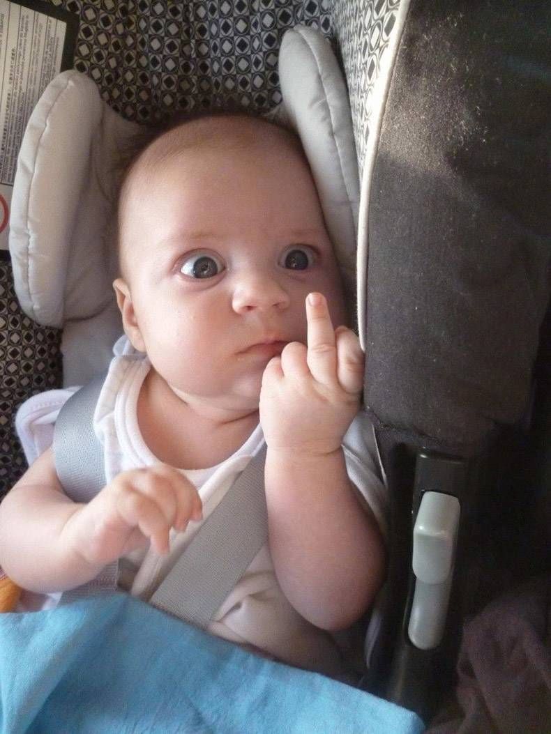 Gewoon een verzameling hilarische foto's #1252