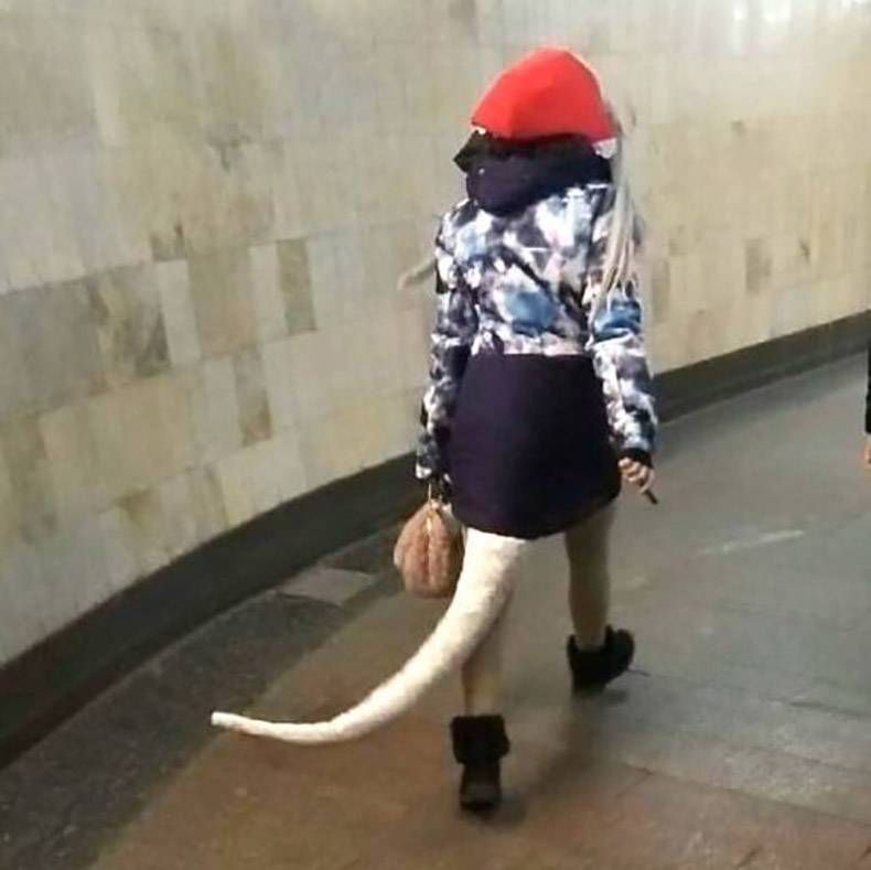 Gewoon een verzameling hilarische foto's #1251