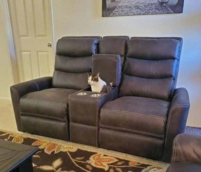 Gewoon een verzameling hilarische foto's #1205