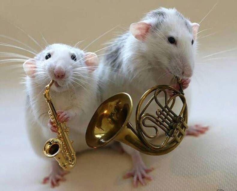 Gewoon een verzameling hilarische foto's #782