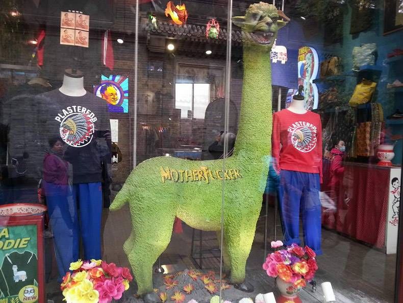 Gewoon een verzameling hilarische foto's #1291