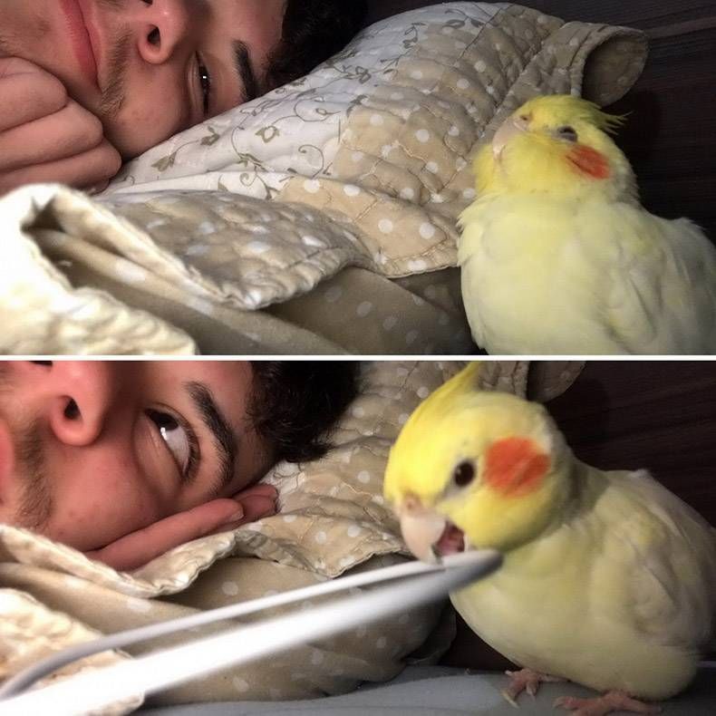 Gewoon een verzameling hilarische foto's #1194