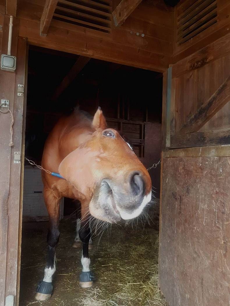 Gewoon een verzameling hilarische foto's #1130