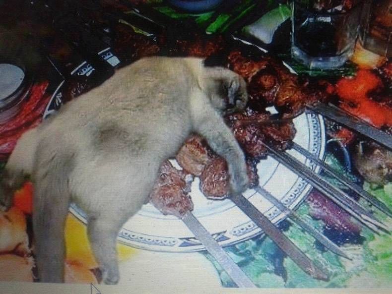 Gewoon een verzameling hilarische foto's #1127