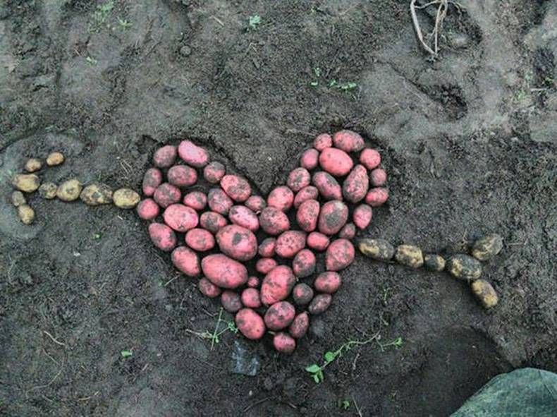 Gewoon een verzameling hilarische foto's #714