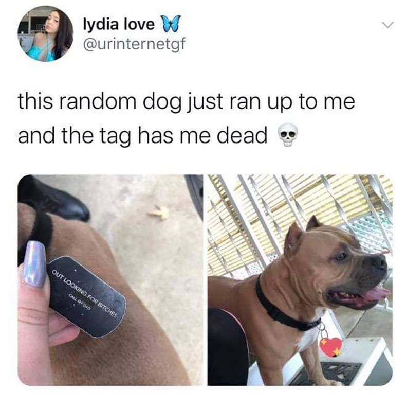 Gewoon een verzameling hilarische foto's #1346