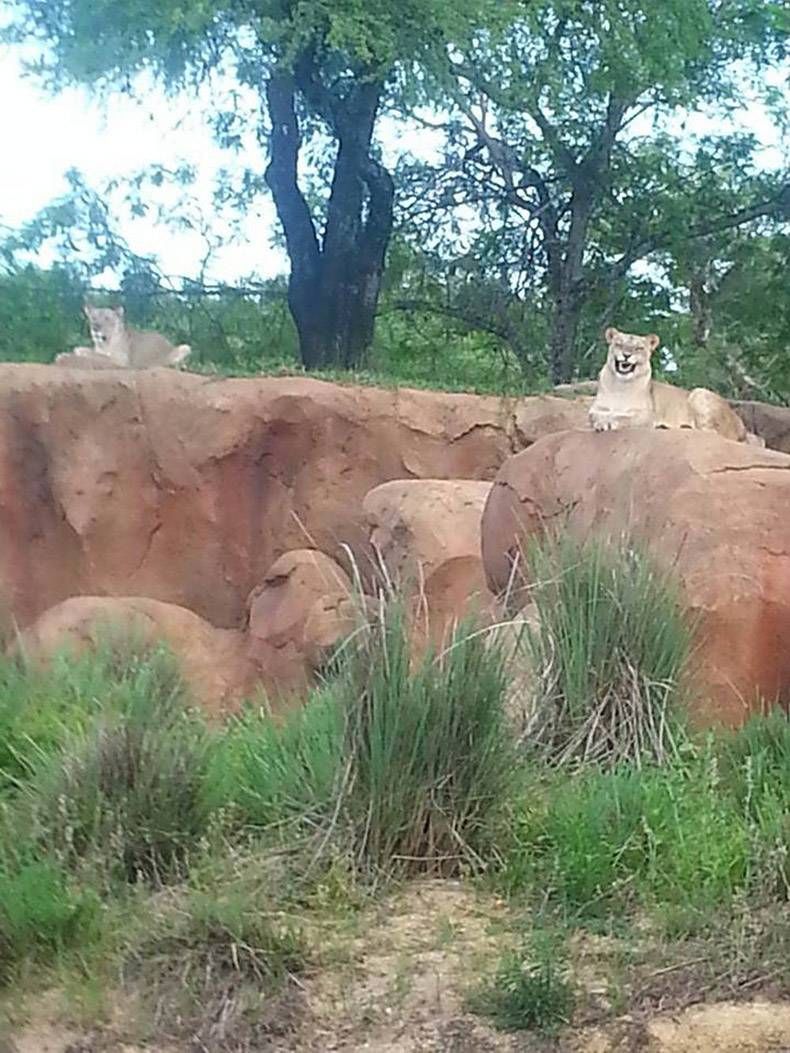 Gewoon een verzameling hilarische foto's #1120