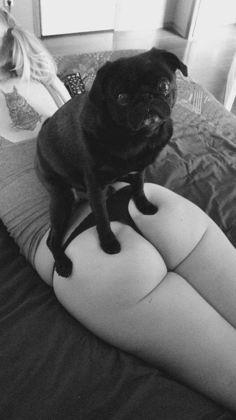 Pix Dump #1000 Special: Gewoon een verzameling foto's van dieren