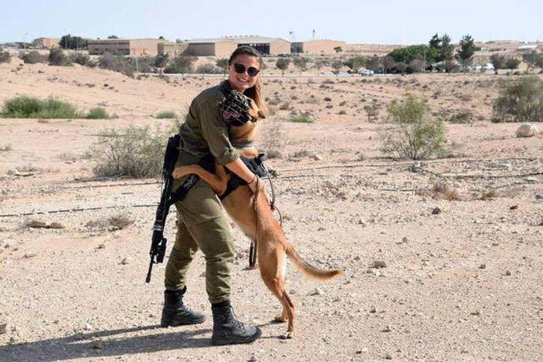 Gewoon een verzameling hilarische foto's #893