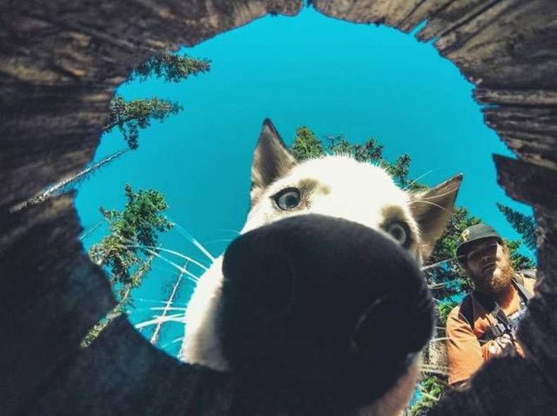 Gewoon een verzameling hilarische foto's #845