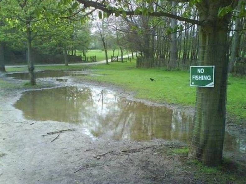 Gewoon een verzameling hilarische foto's #776