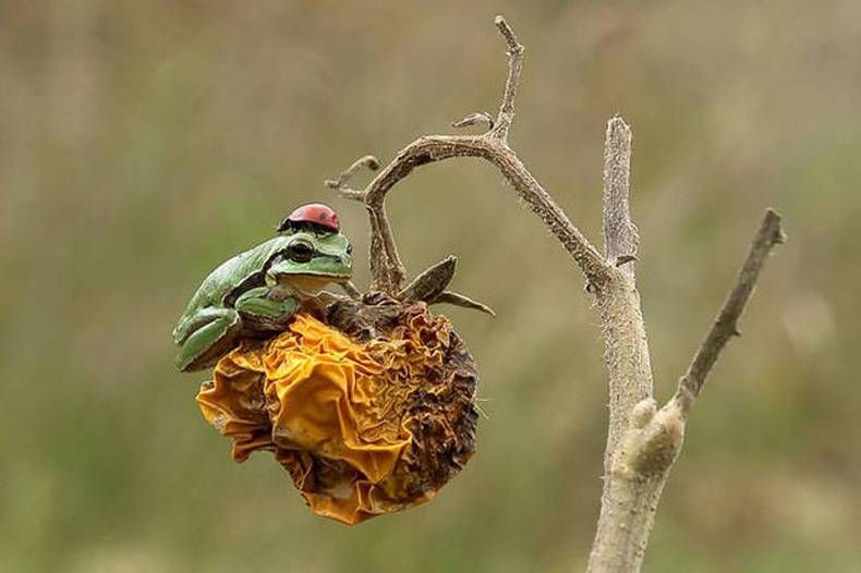 Gewoon een verzameling hilarische foto's #750