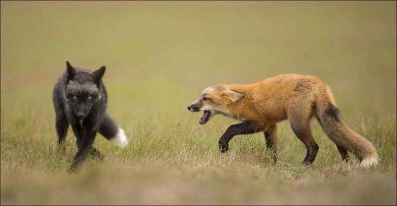 Gewoon een verzameling hilarische foto's #721