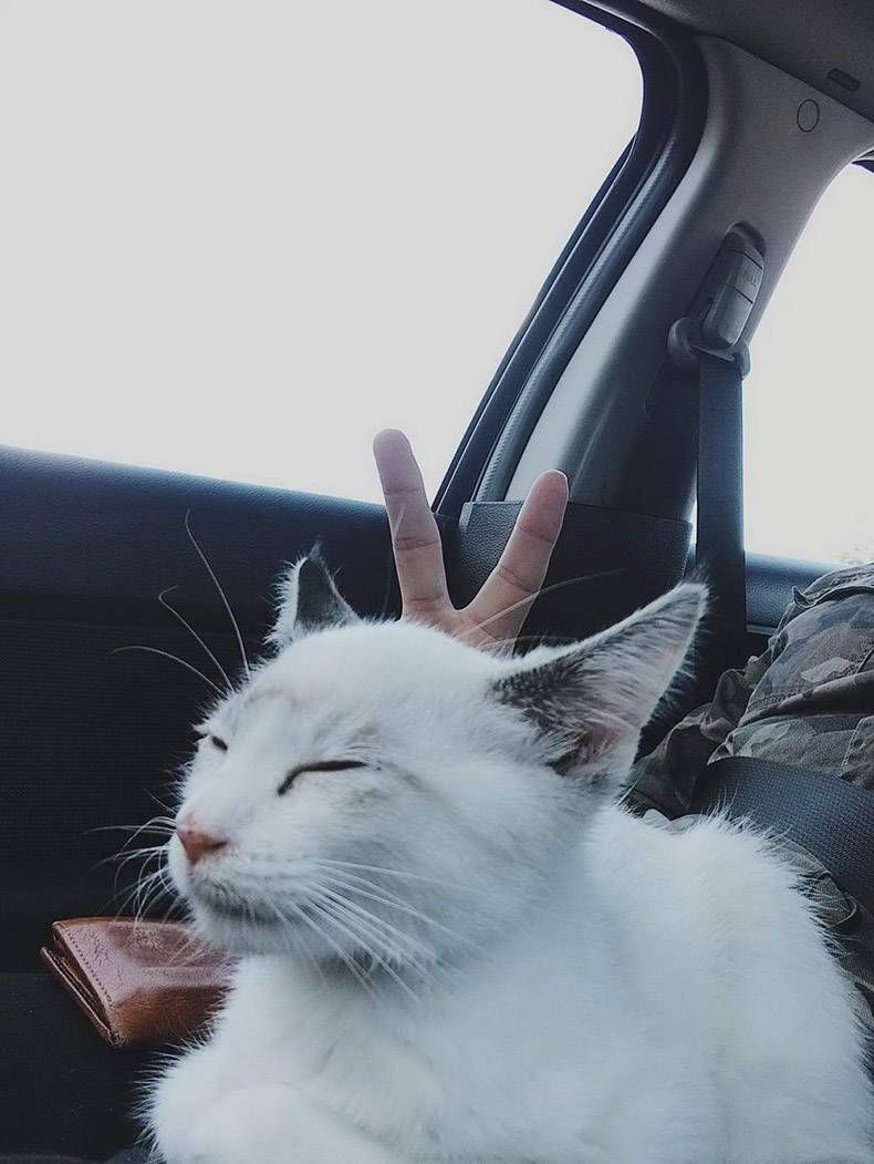 Gewoon een verzameling hilarische foto's #1346