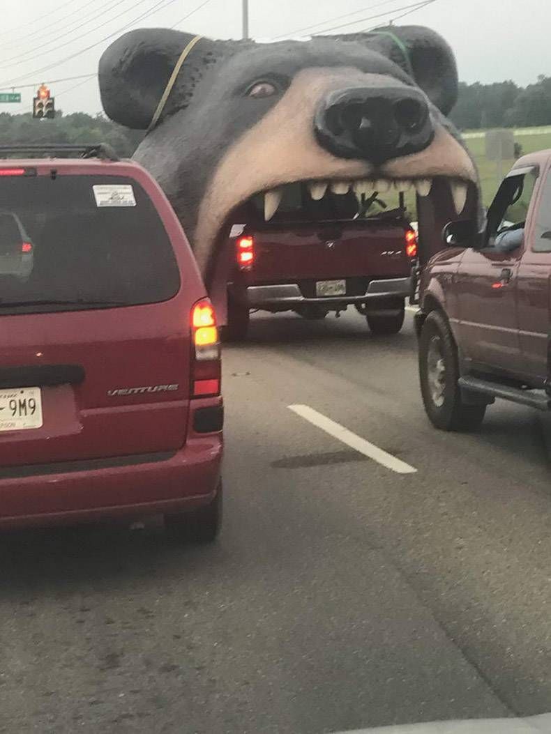 Gewoon een verzameling hilarische foto’s #1336