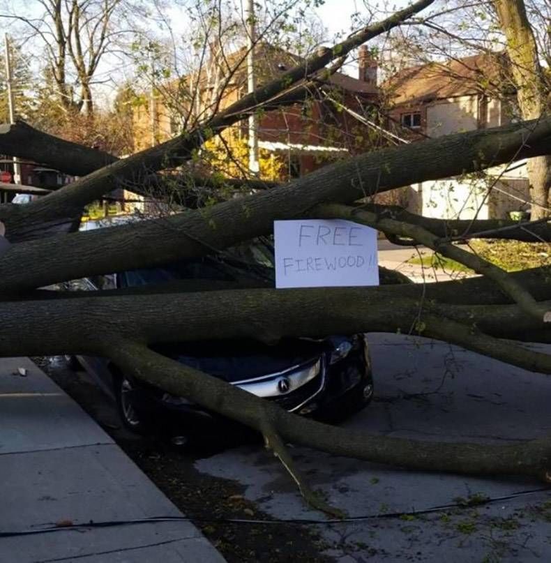 Gewoon een verzameling hilarische foto's #1199