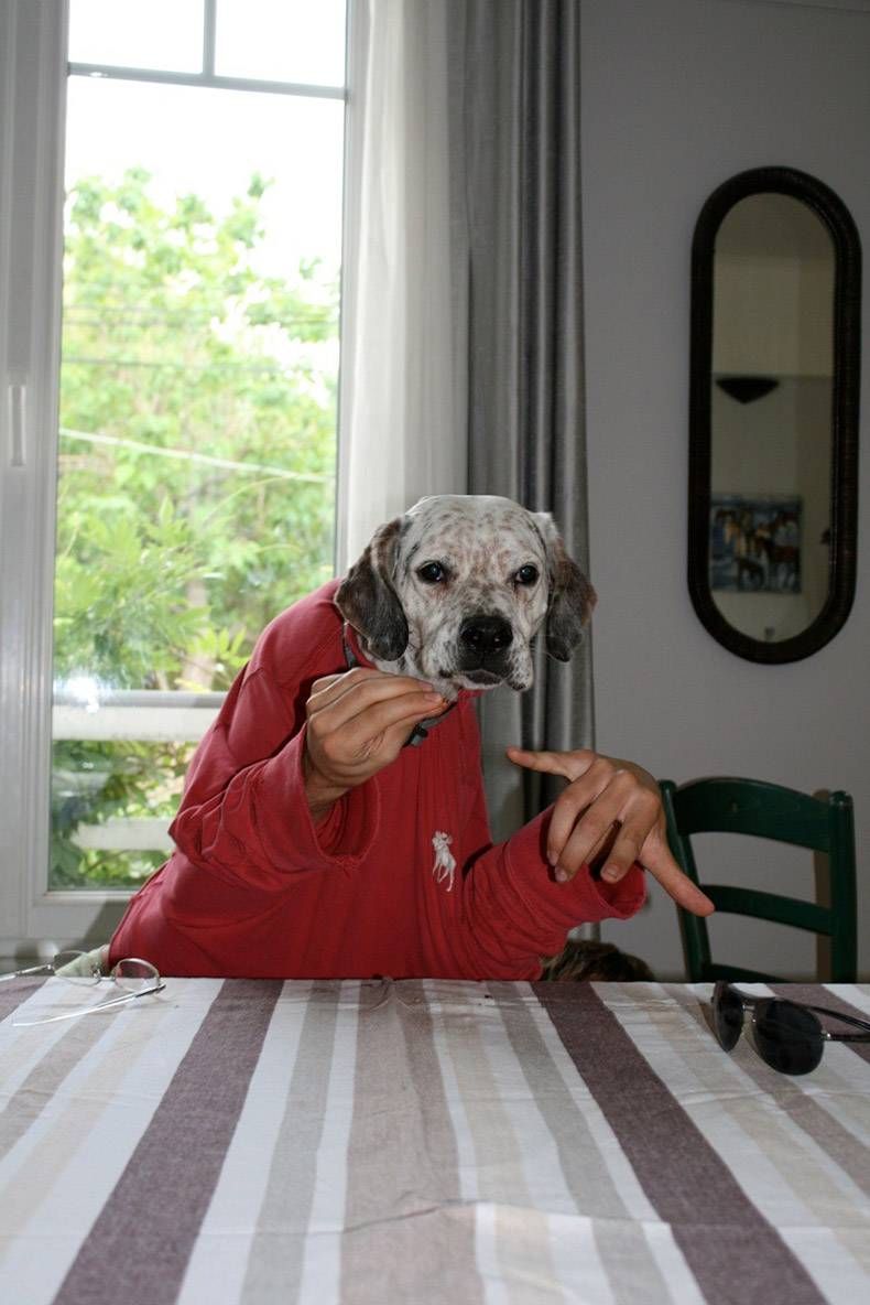 Gewoon een verzameling hilarische foto's #1139