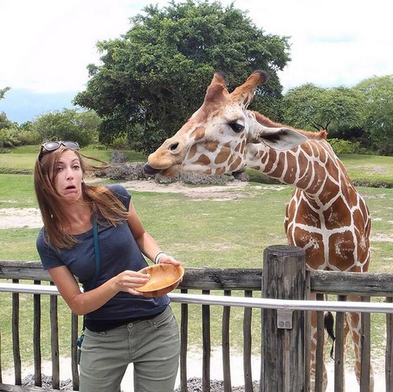 Gewoon een verzameling hilarische foto's #1123