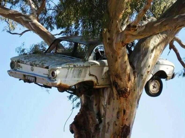 Gewoon een verzameling hilarische foto's #874