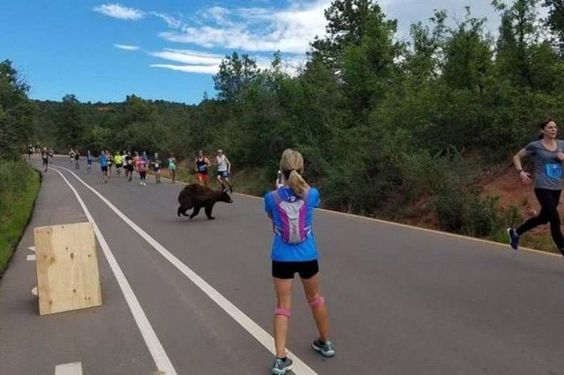 Gewoon een verzameling hilarische foto's #829