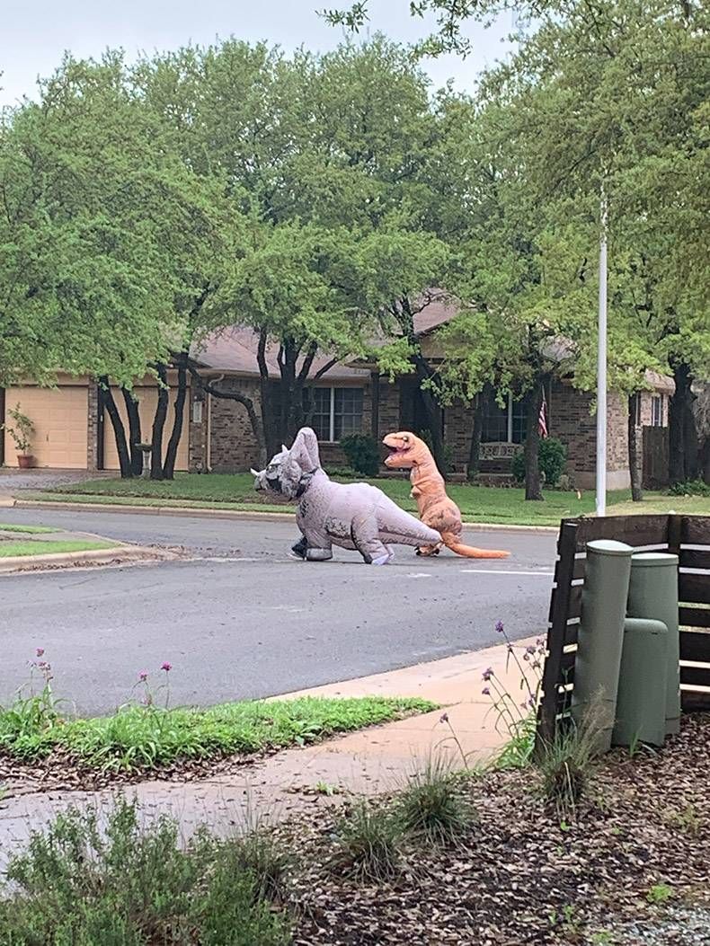 Gewoon een verzameling hilarische foto's #1262
