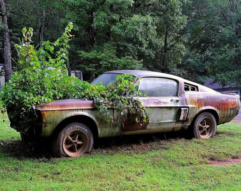 Gewoon een verzameling hilarische foto's #1194