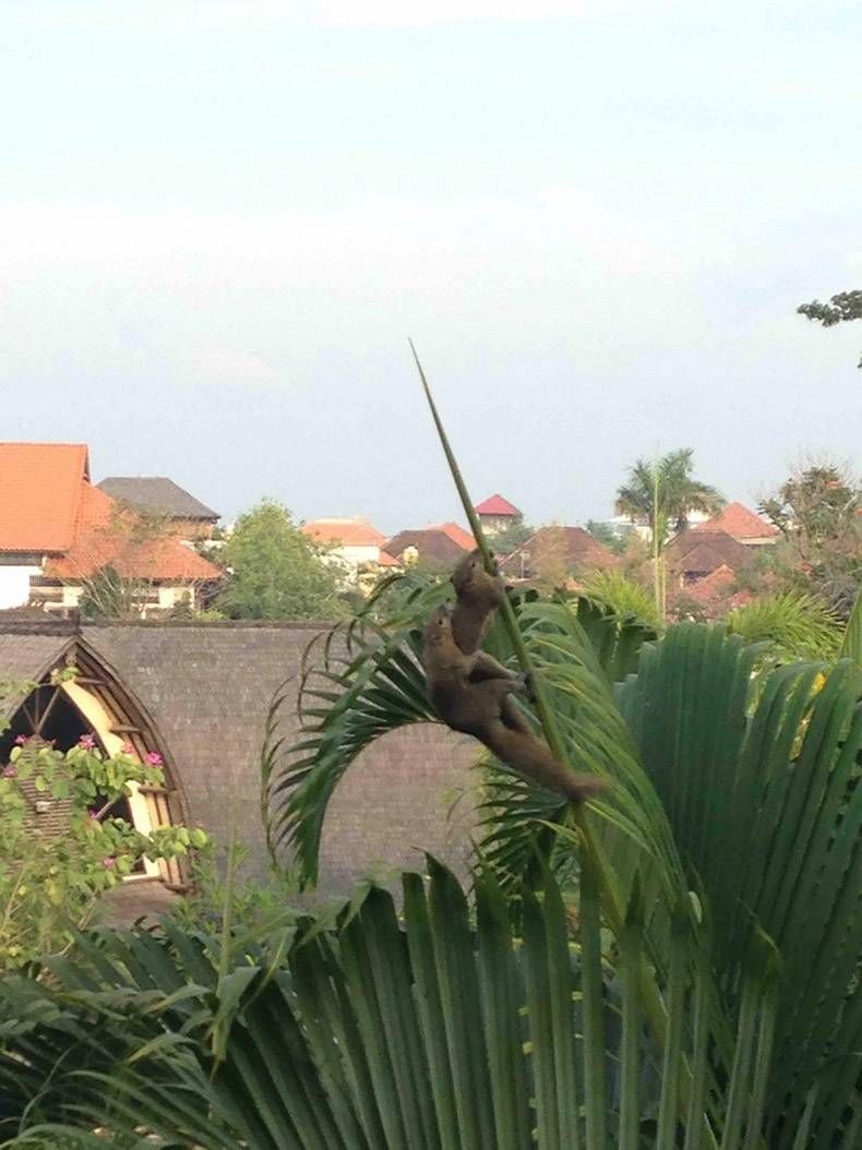 Gewoon een verzameling hilarische foto's #1139