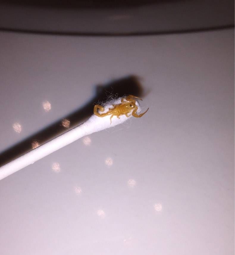 Gewoon een verzameling hilarische foto’s #858