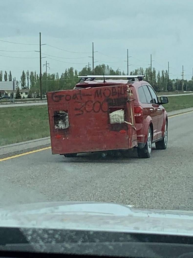 Gewoon een verzameling hilarische foto's #1287