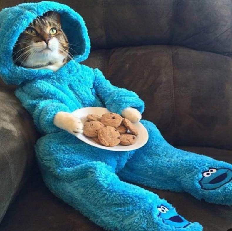 Gewoon een verzameling hilarische foto's #1194