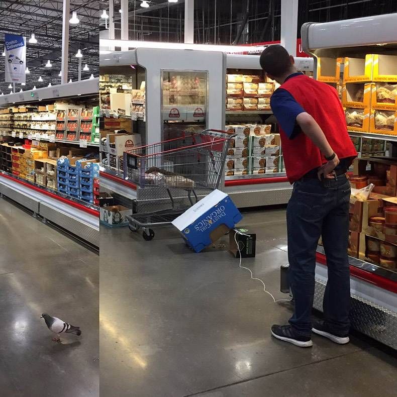 Gewoon een verzameling hilarische foto's #1129