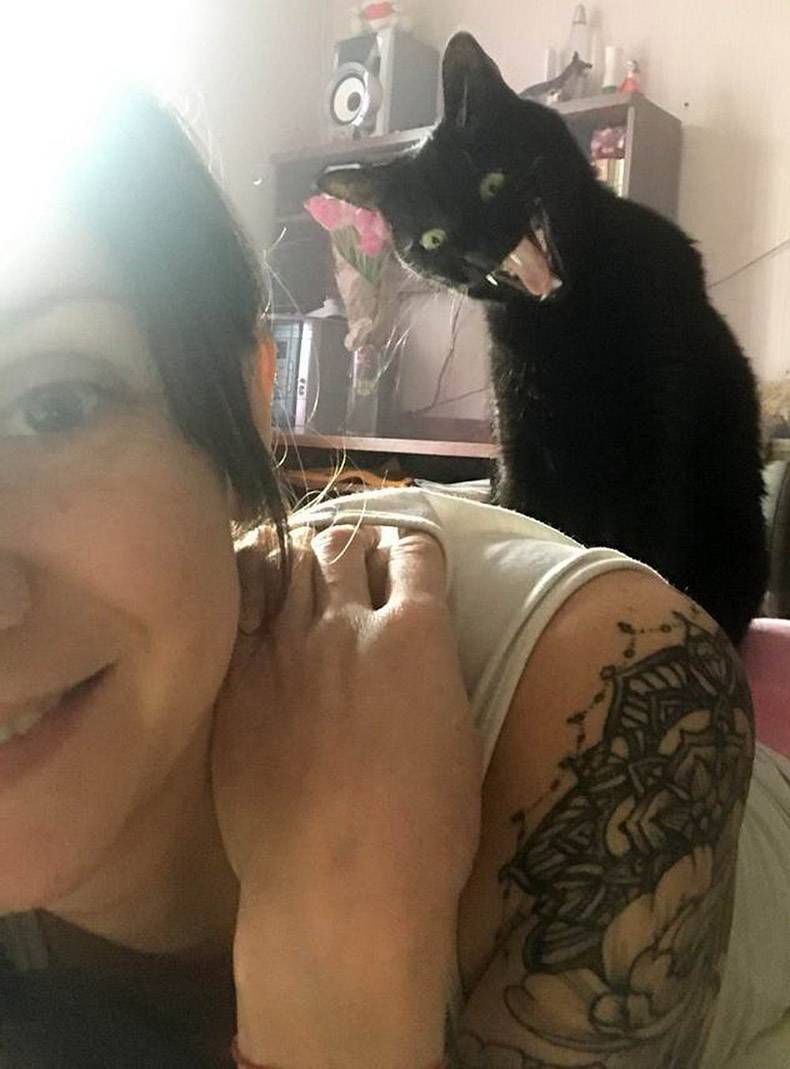 Gewoon een verzameling hilarische foto's #1096