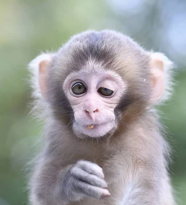 Gewoon een verzameling hilarische foto's #1088