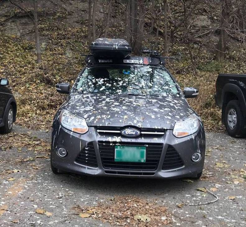 Gewoon een verzameling hilarische foto's #893