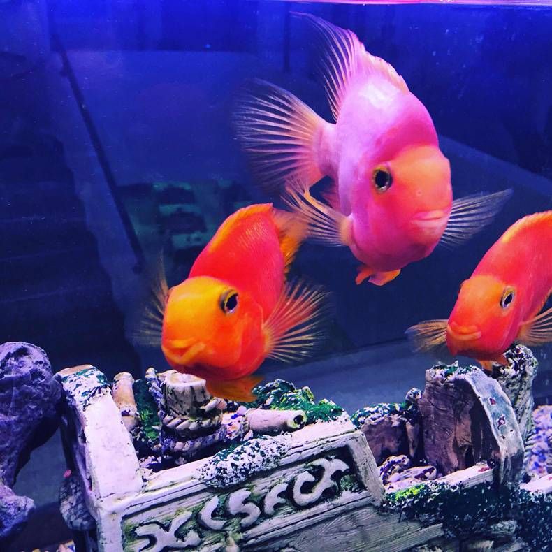 Gewoon een verzameling hilarische foto's #728