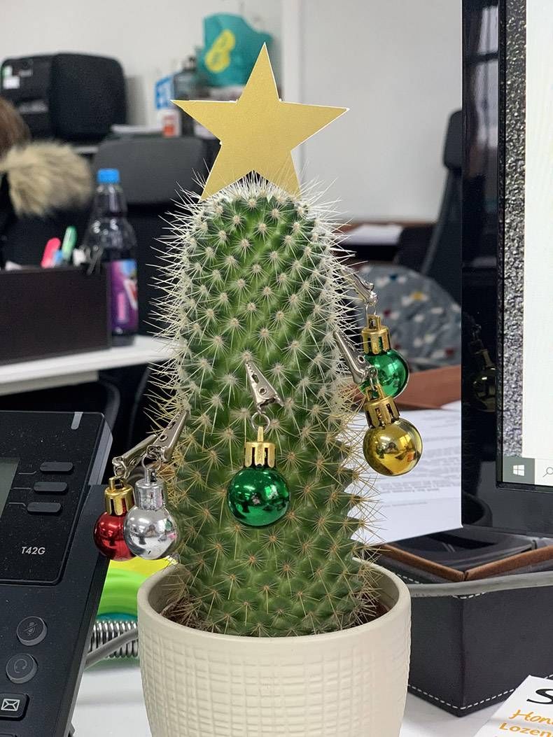 Gewoon een verzameling hilarische foto's #1212