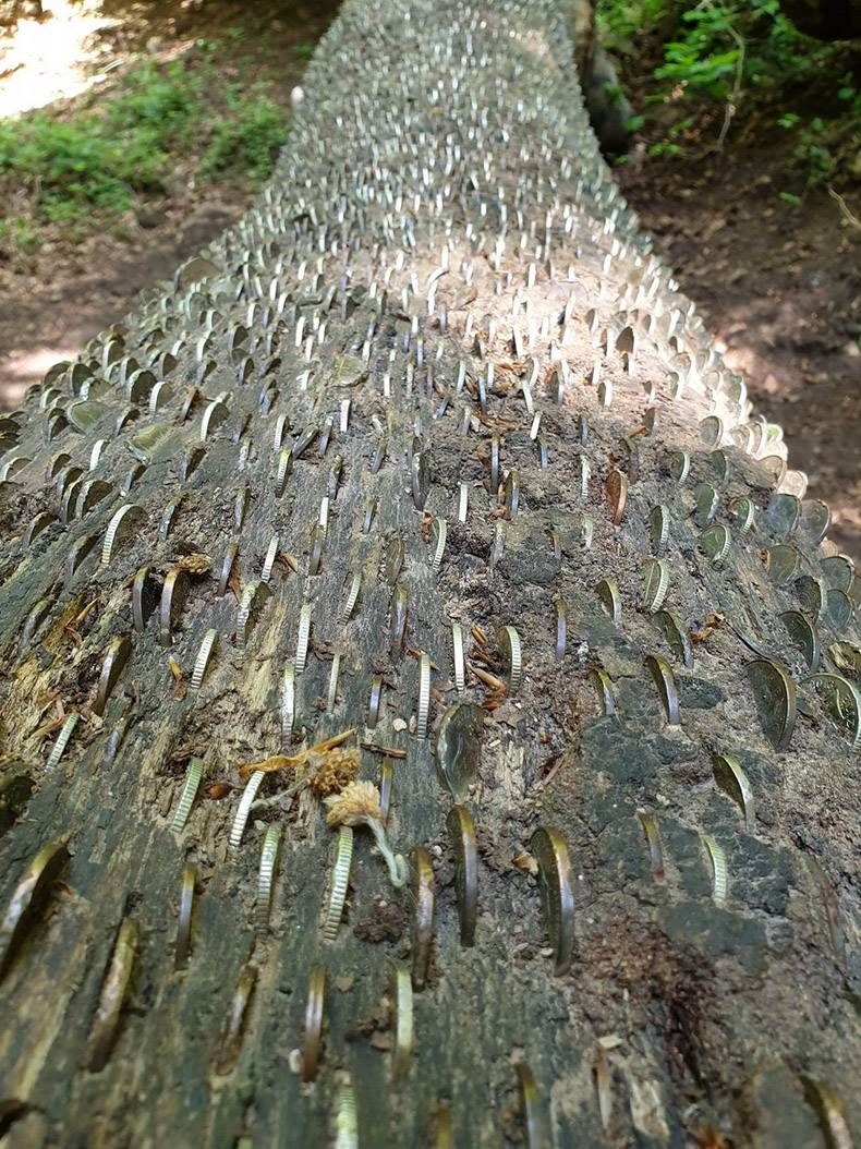 Gewoon een verzameling hilarische foto's #1128