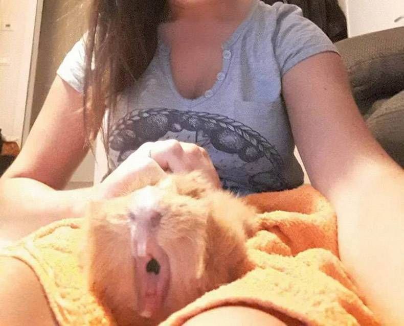 Gewoon een verzameling hilarische foto's #1089