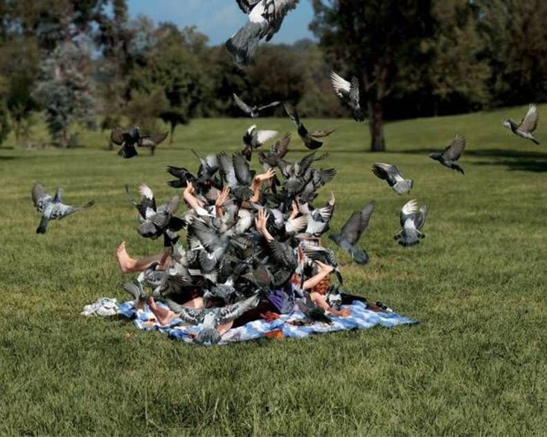 Gewoon een verzameling hilarische foto's #829