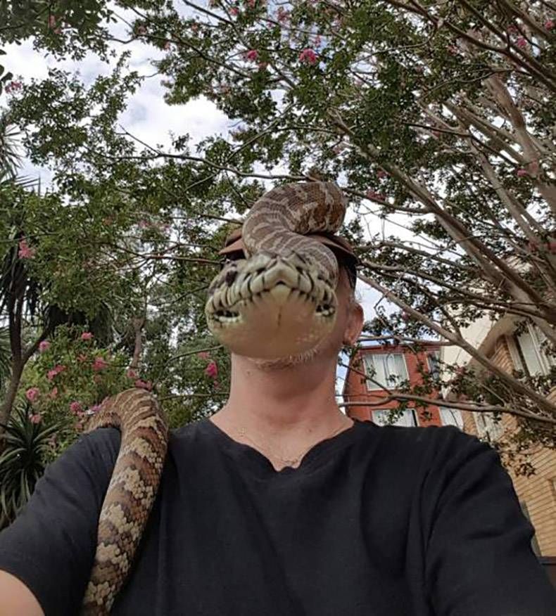 Gewoon een verzameling hilarische foto's #782