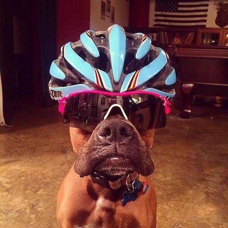 Gewoon een verzameling hilarische foto's #762